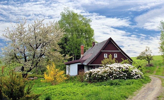 Tips om je tuin op te fleuren