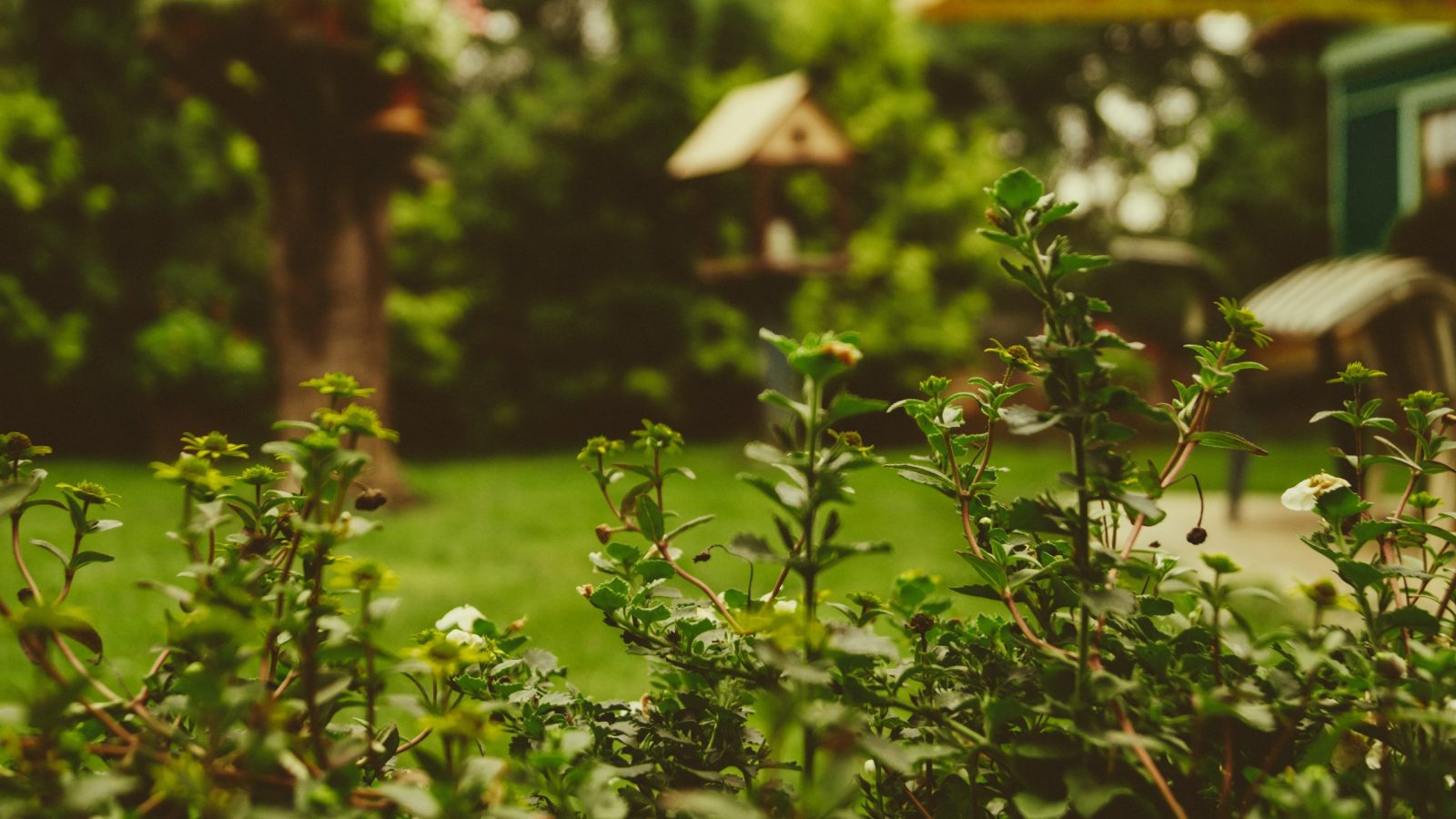 ideeën voor in de tuin