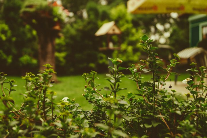 ideeën voor in de tuin