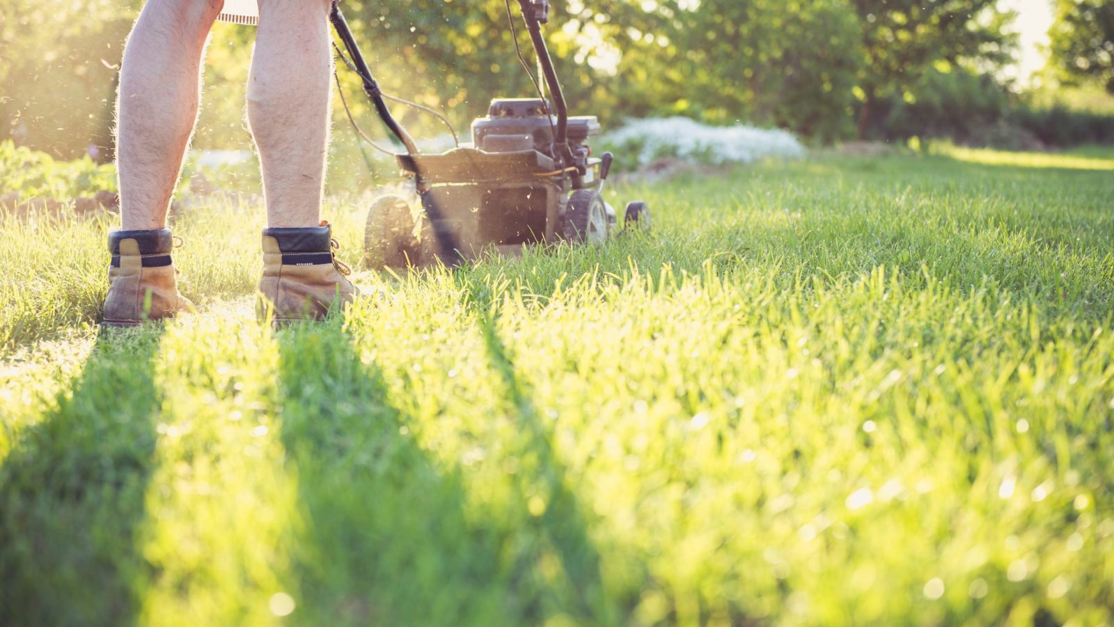 Beperk het onderhoud van je tuin tot het minimum