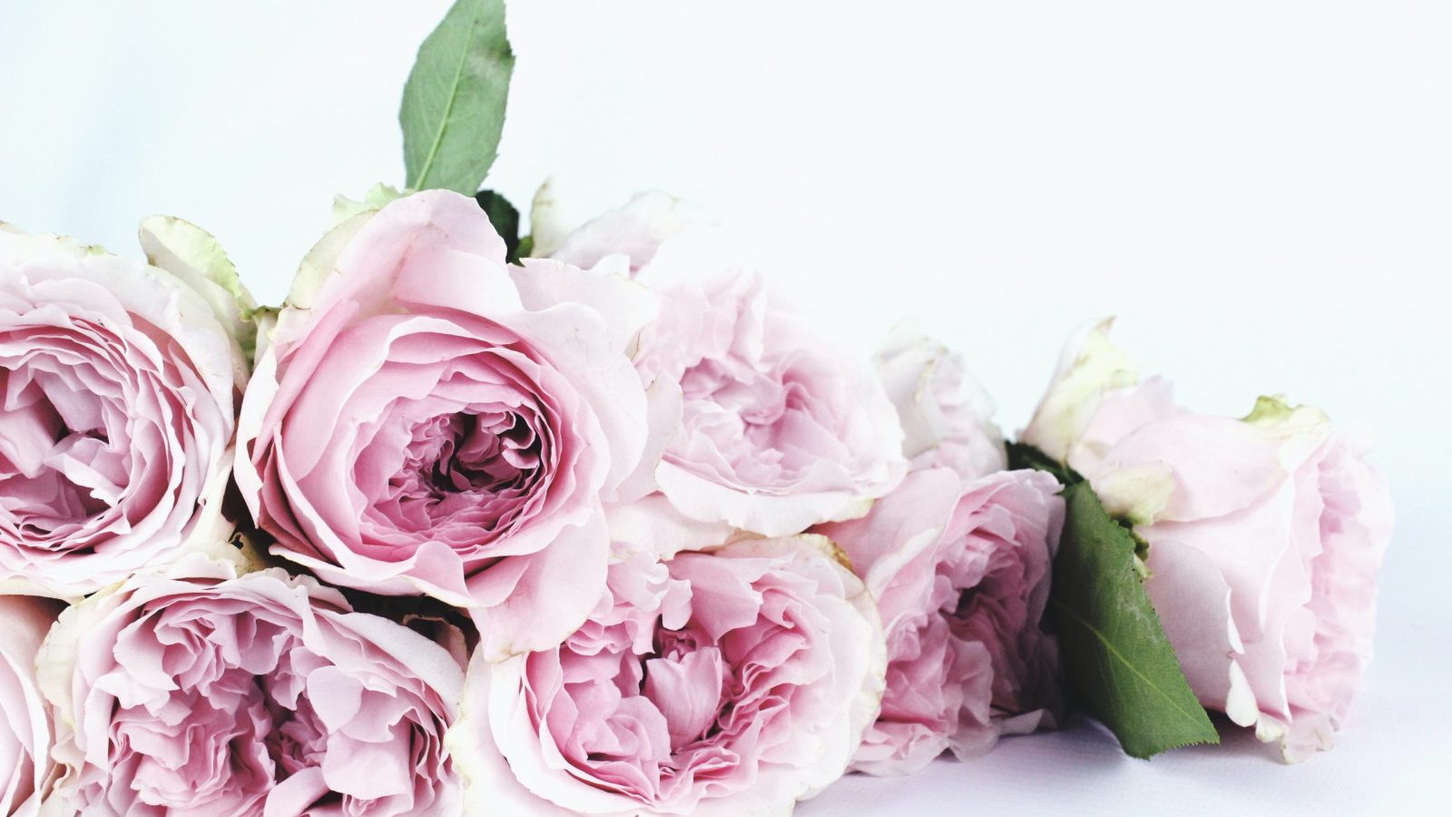 Kunstbloemen zijn de laatste trend op het gebied van wonen